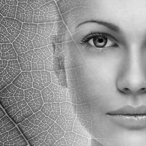 Spider Vein Removal Small Area